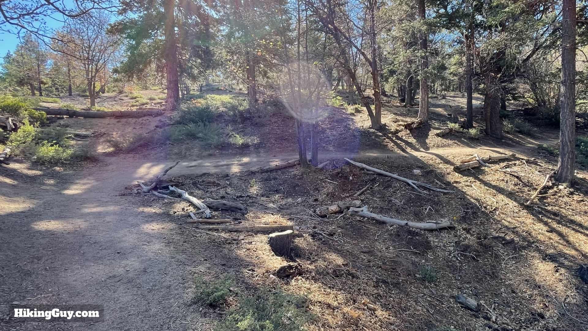 Pineknot To Grand View Hike 10