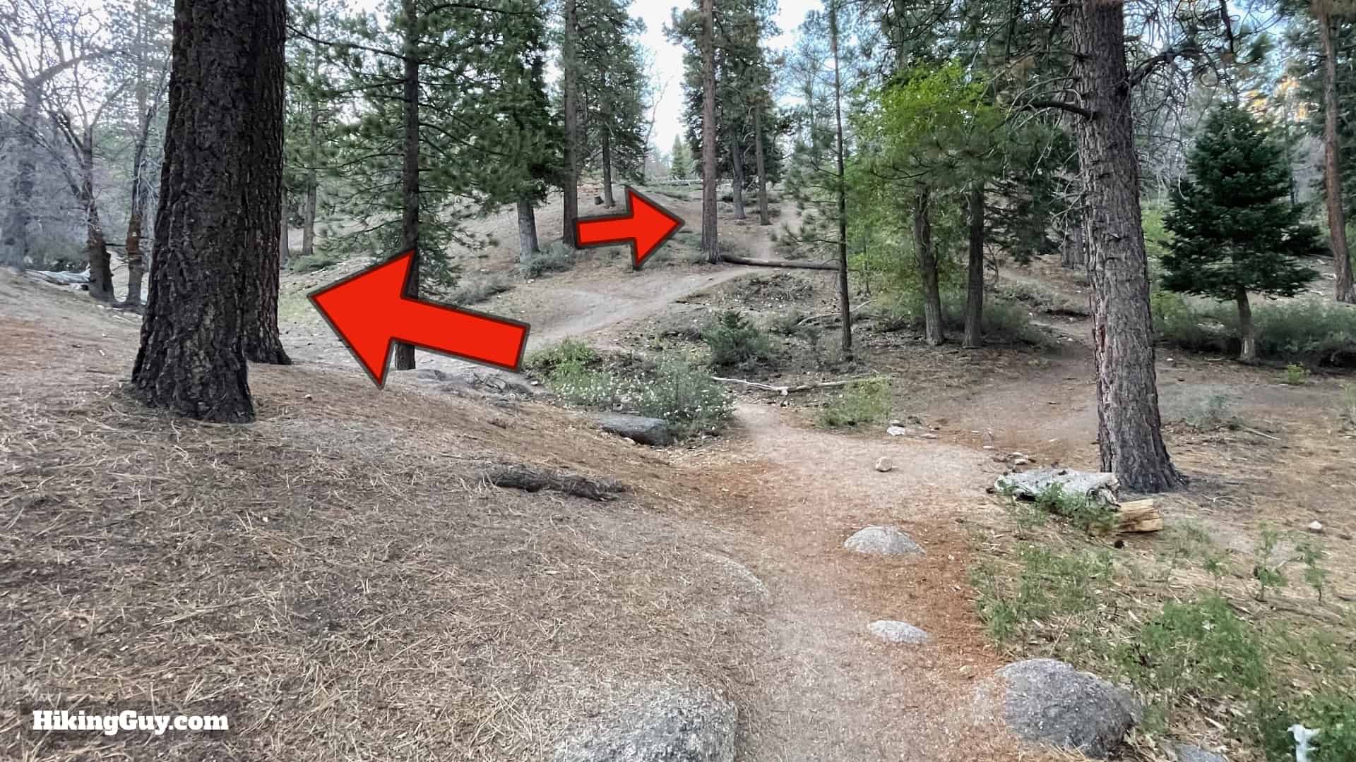 Pineknot To Grand View Hike 7