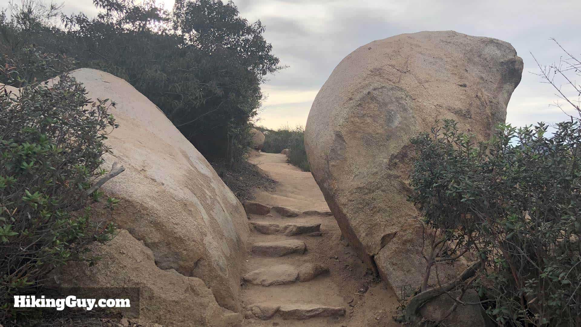 stairs on trail
