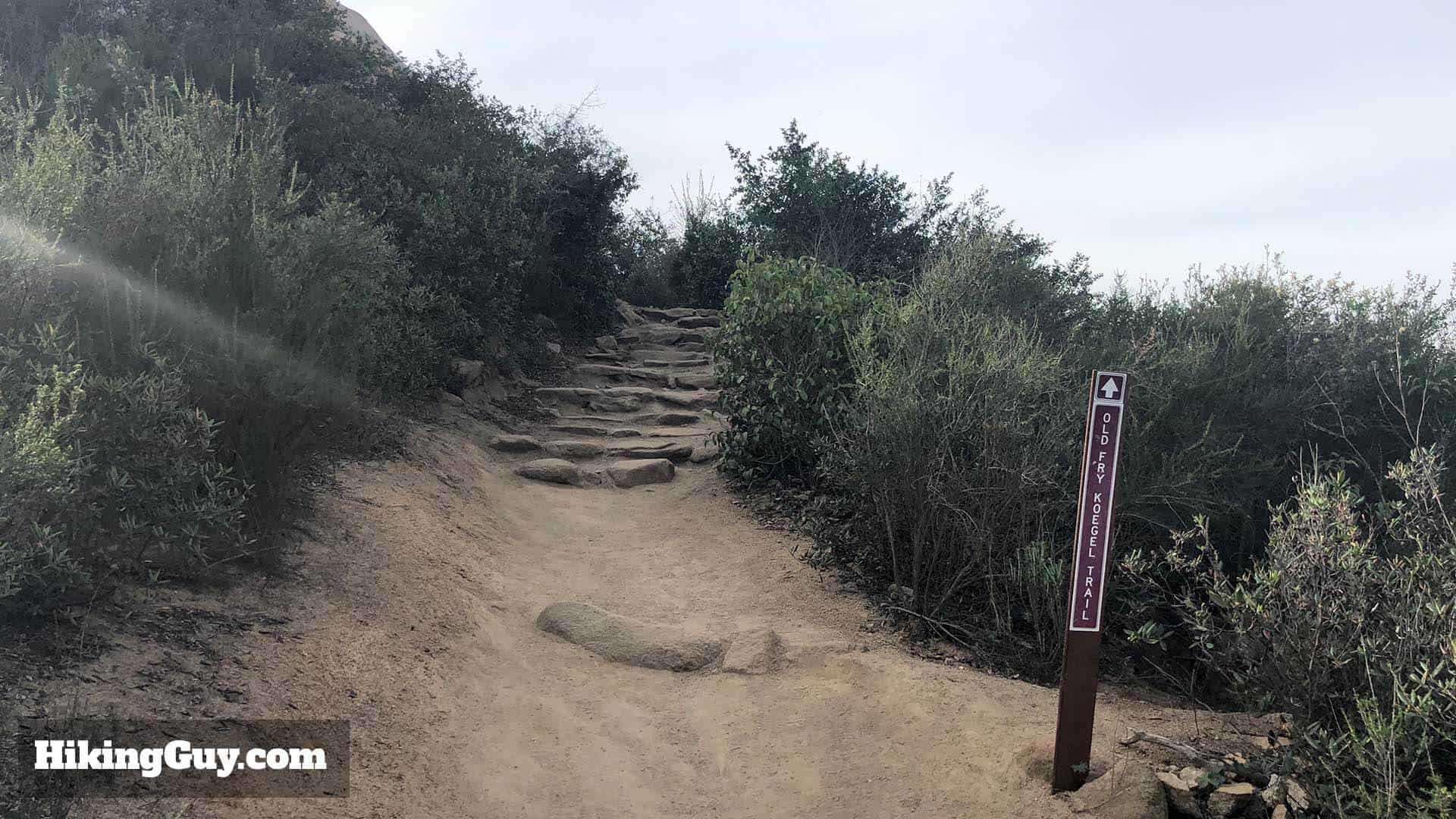 stairs on trail