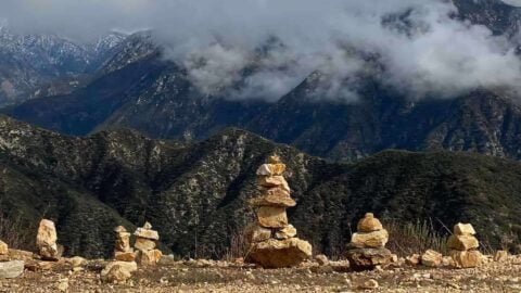 Potato Mountain Hike (Angeles National Forest)