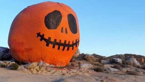 Hike the Pumpkin Rock Trail