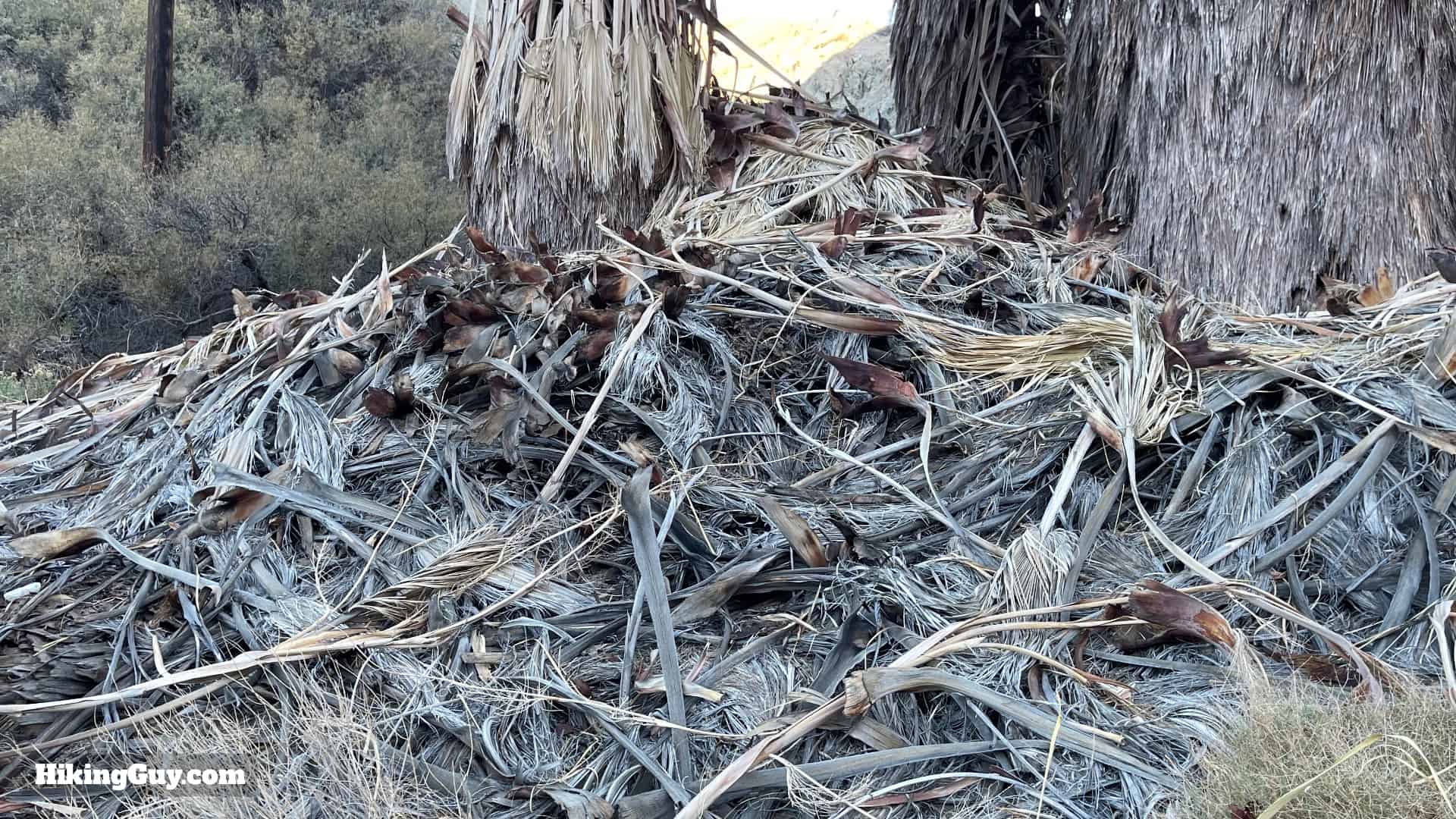 Pushawalla Palms Trail Directions 1