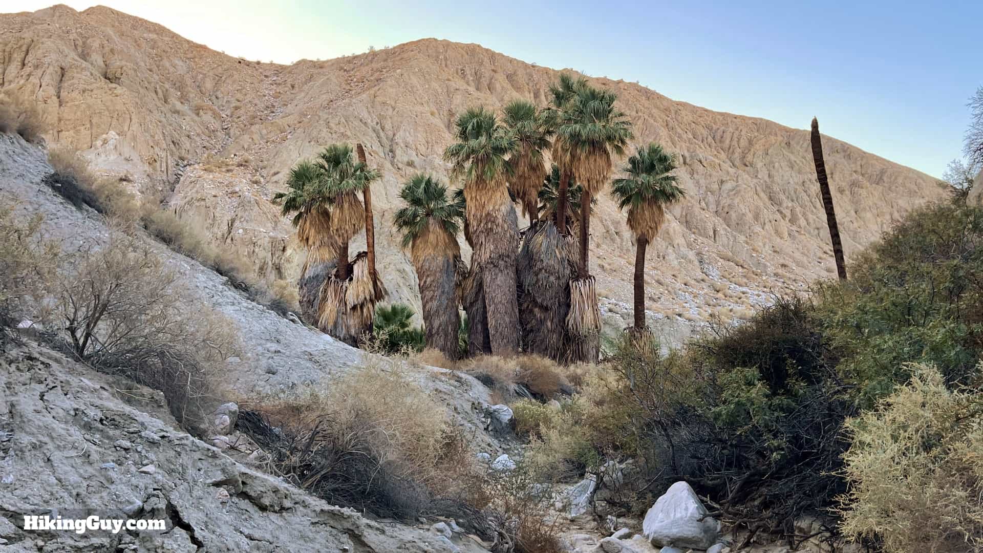 Pushawalla Palms Trail Directions 30