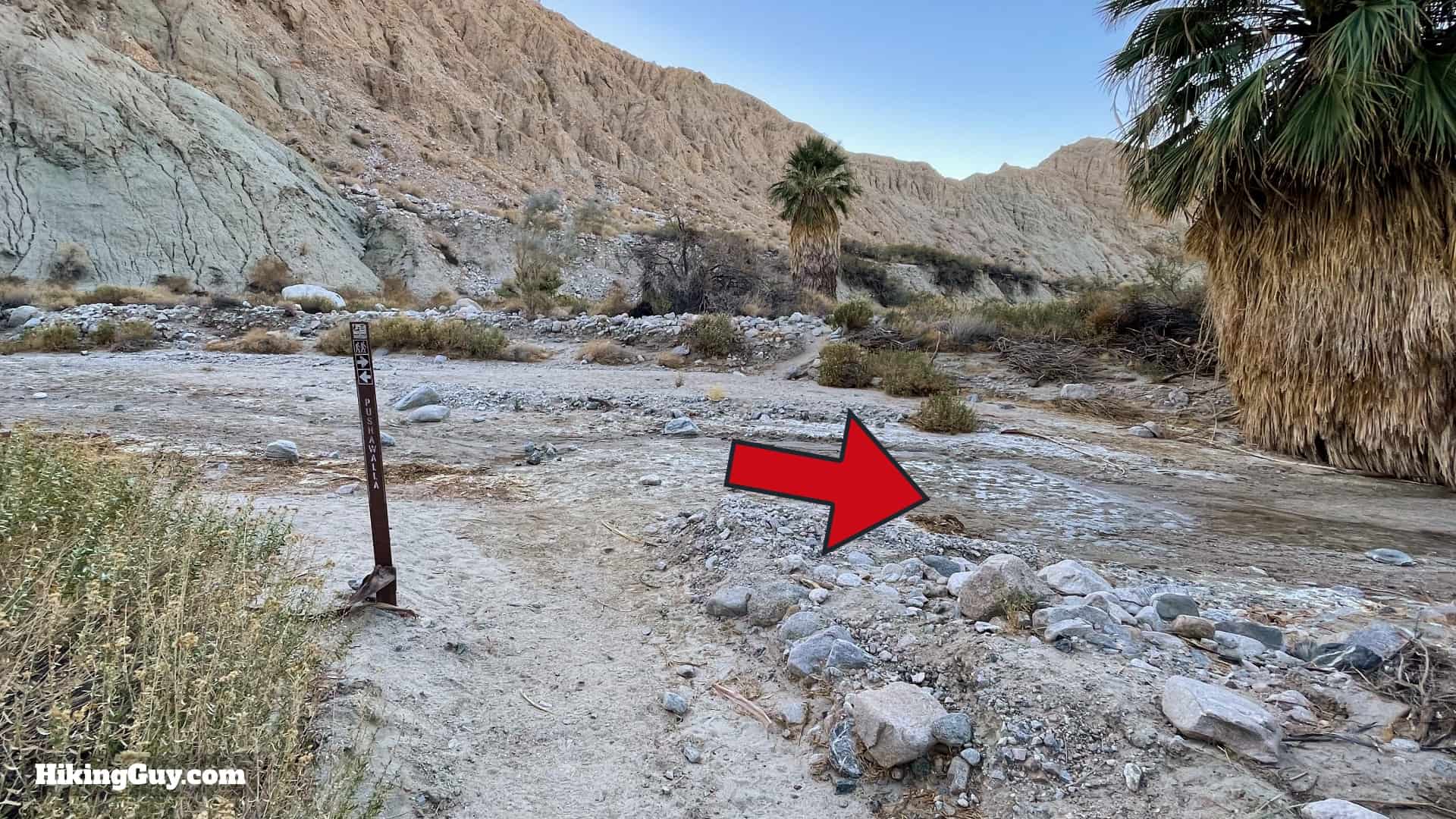 Pushawalla Palms Trail Directions 31