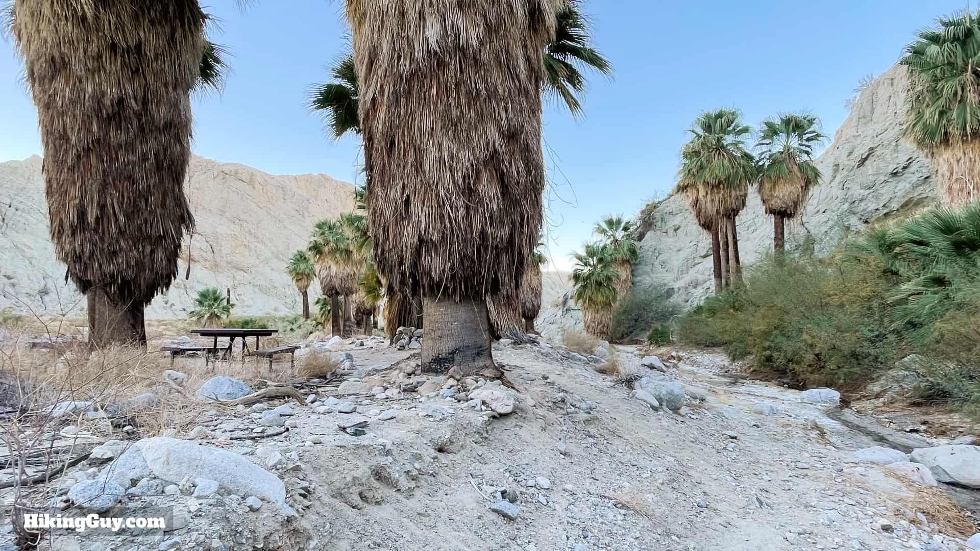 Pushawalla Palms Trail Directions 33