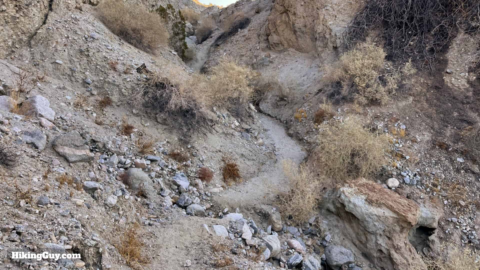 Pushawalla Palms Trail Directions 37