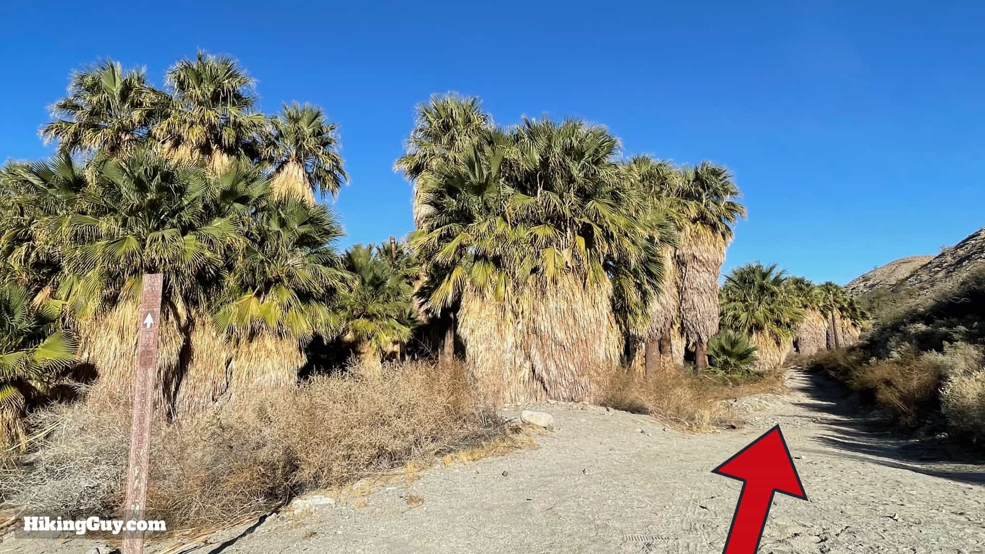 Pushawalla Palms Trail Directions 46