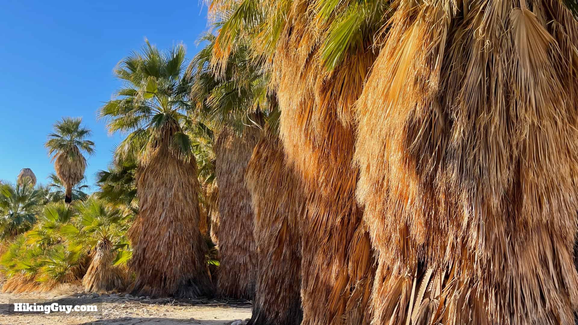 Pushawalla Palms Trail Directions 47