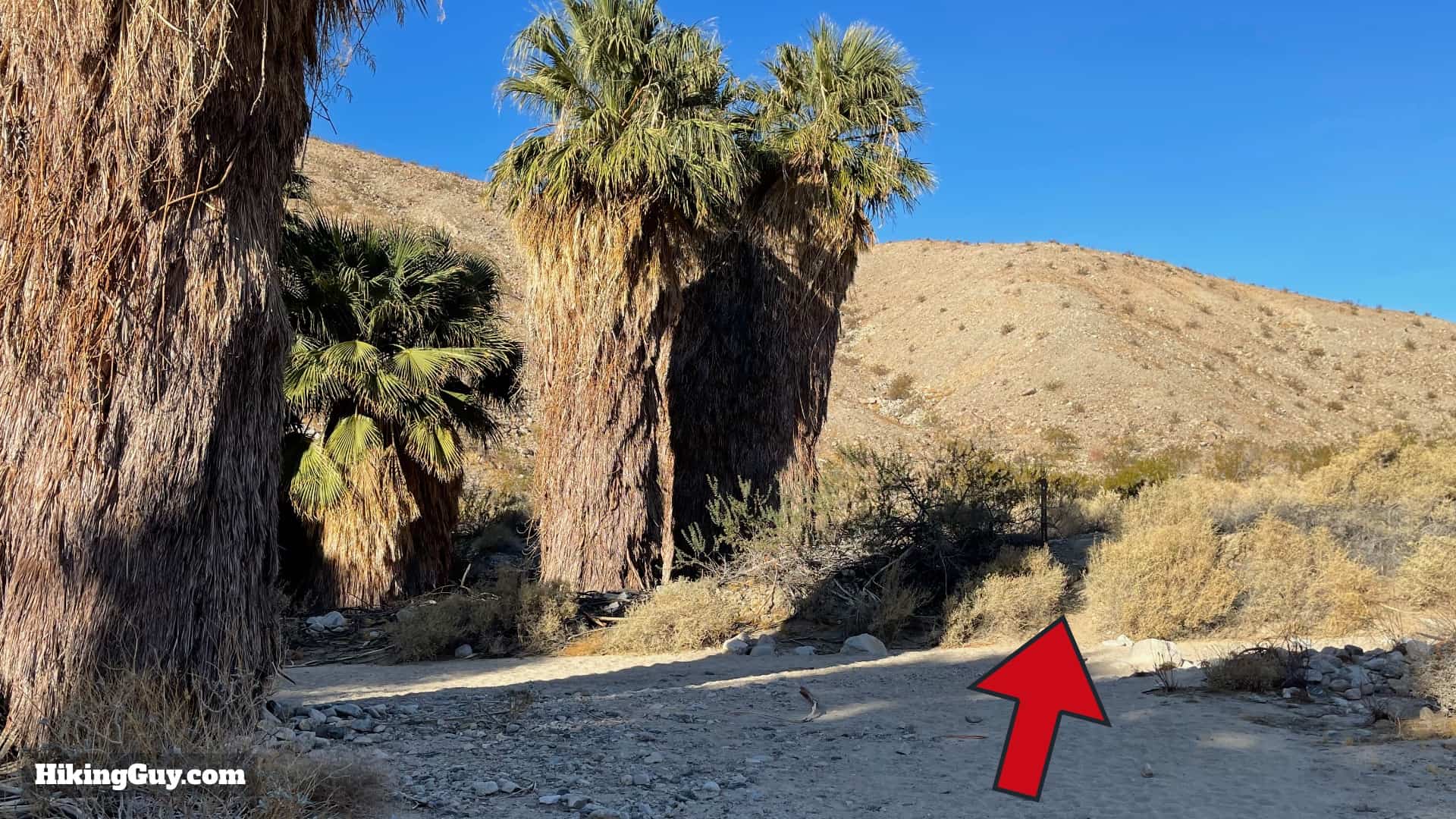 Pushawalla Palms Trail Directions 48