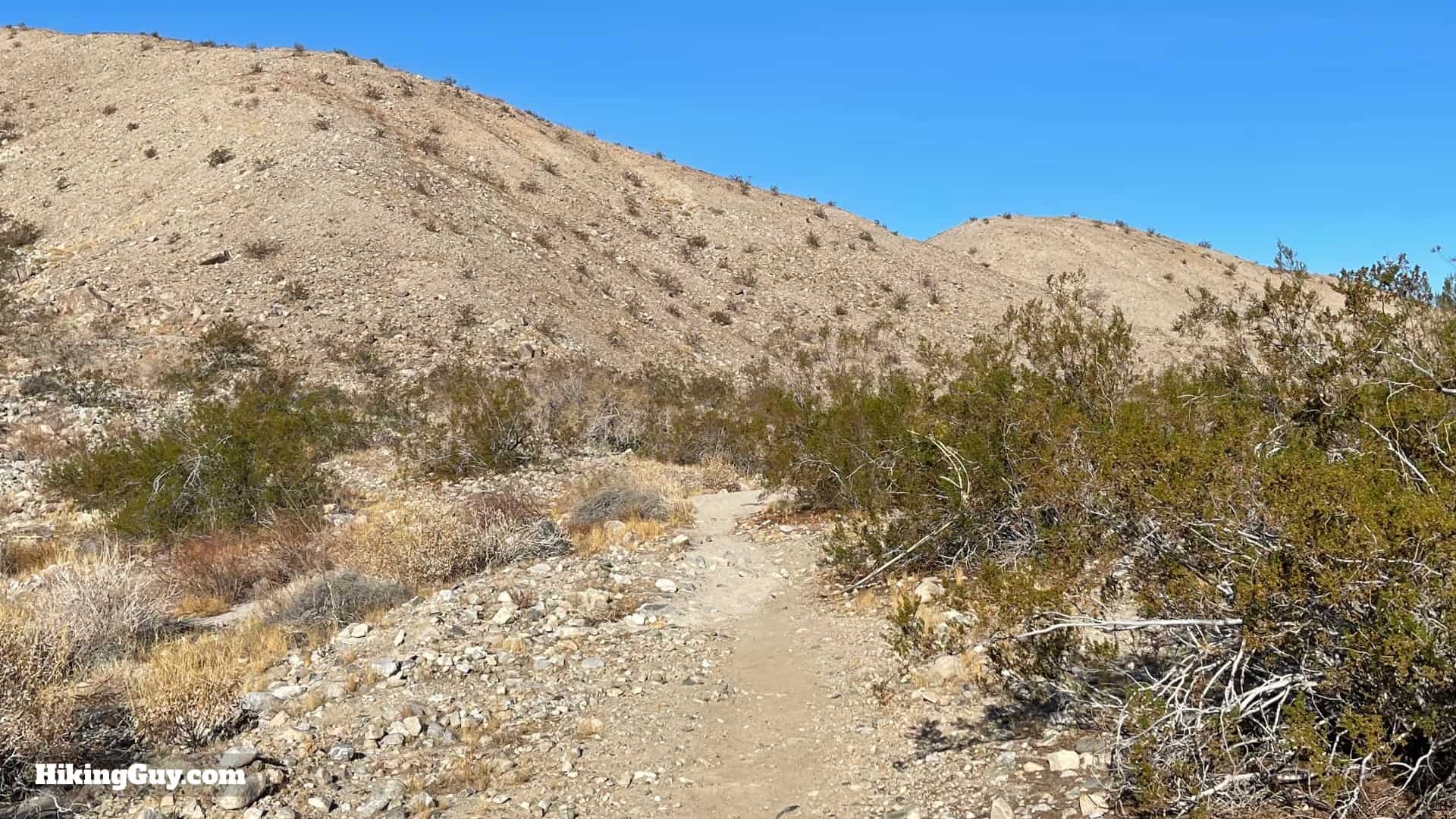 Pushawalla Palms Trail Directions 49