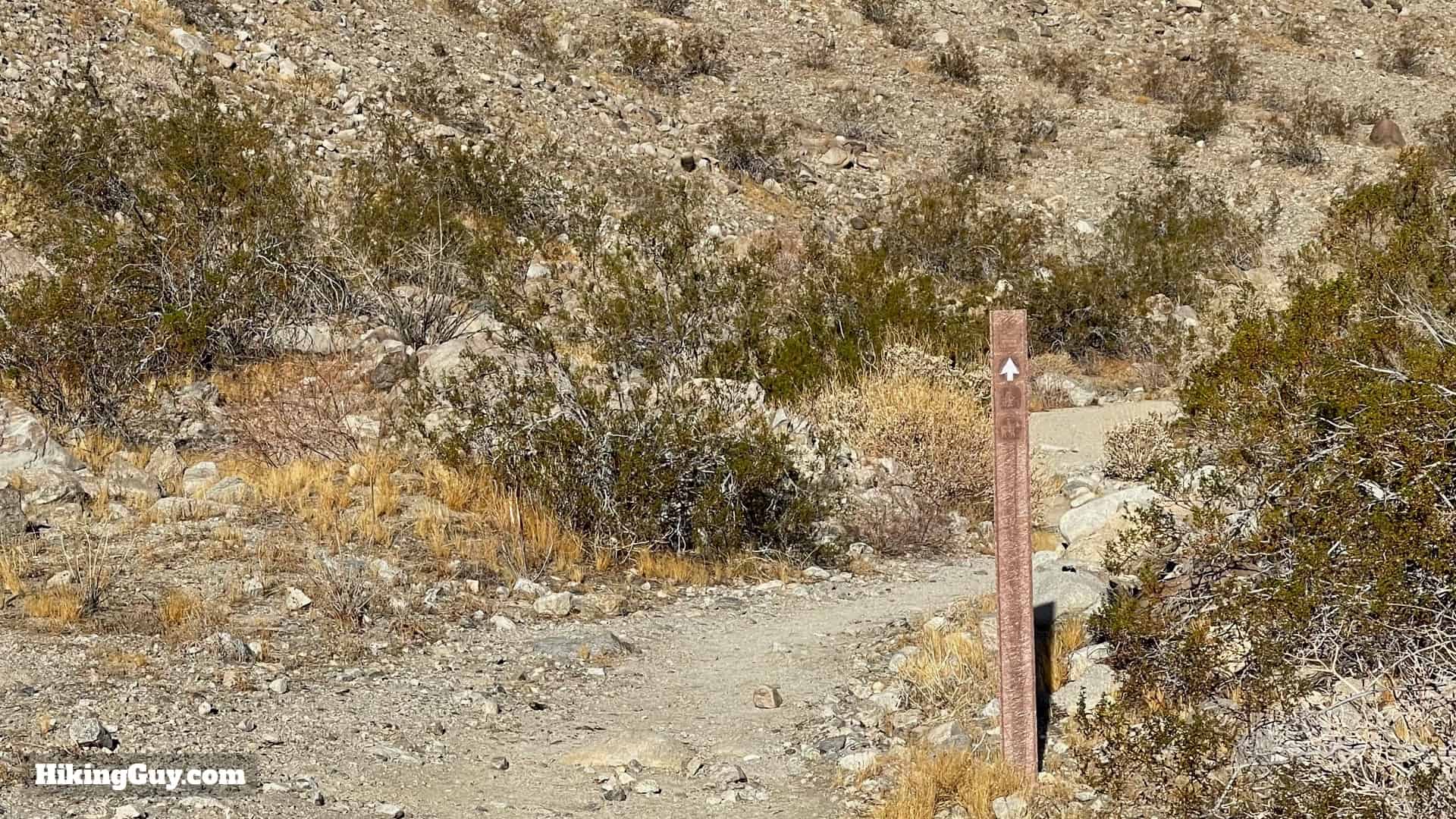Pushawalla Palms Trail Directions 50