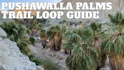Pushawalla Palms Trail Loop