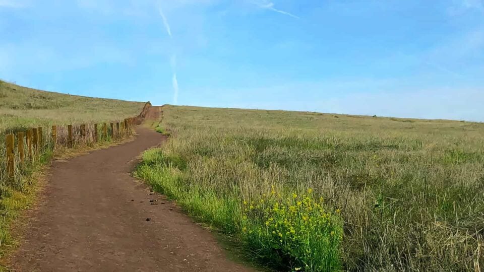 Quail Hill Trail Featured