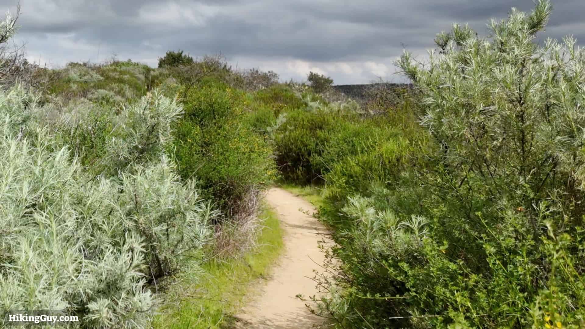 Rattlesnake Trail Red Tail Hike 9