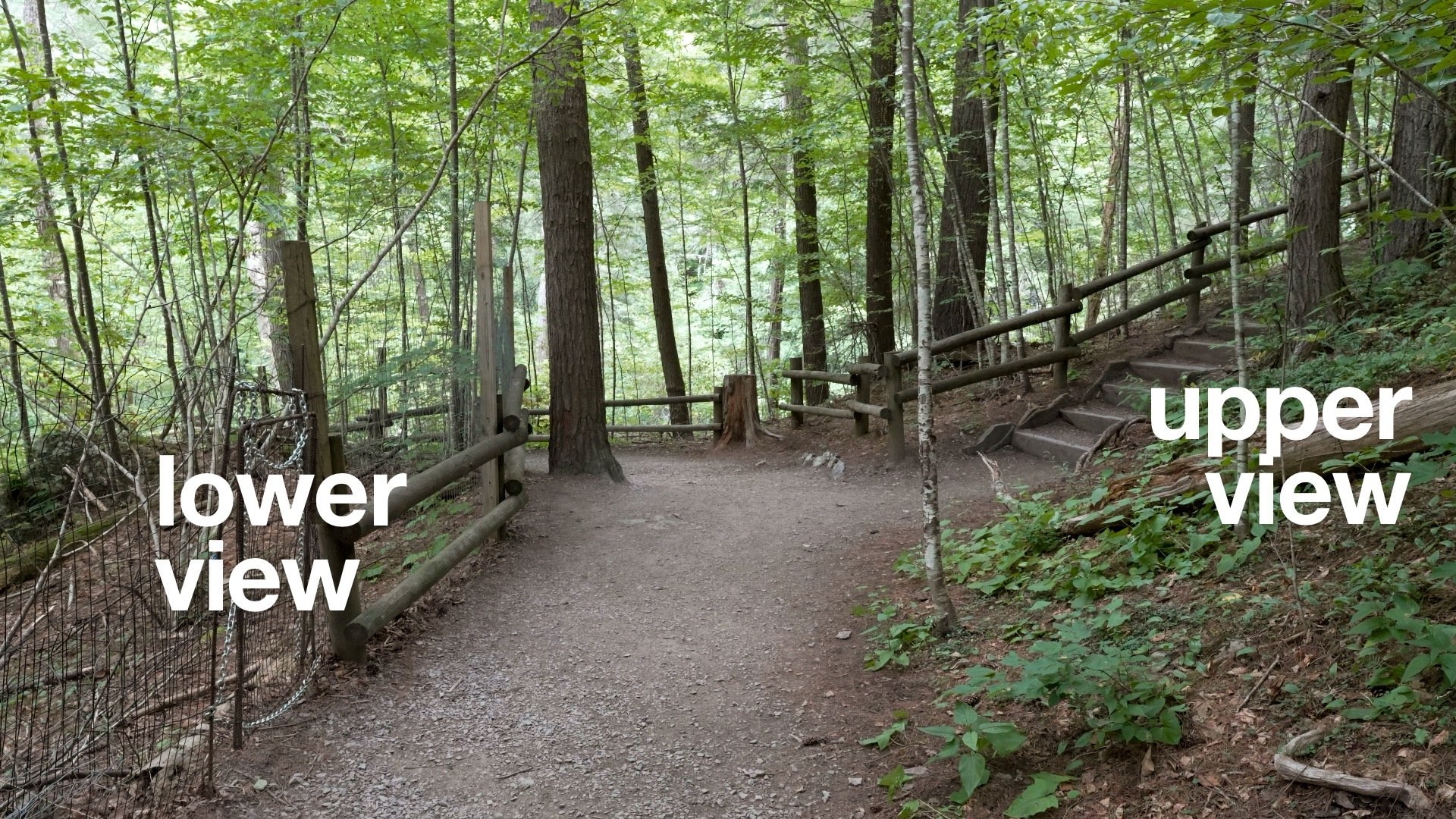 Raymondskill Falls Hike Directions 8