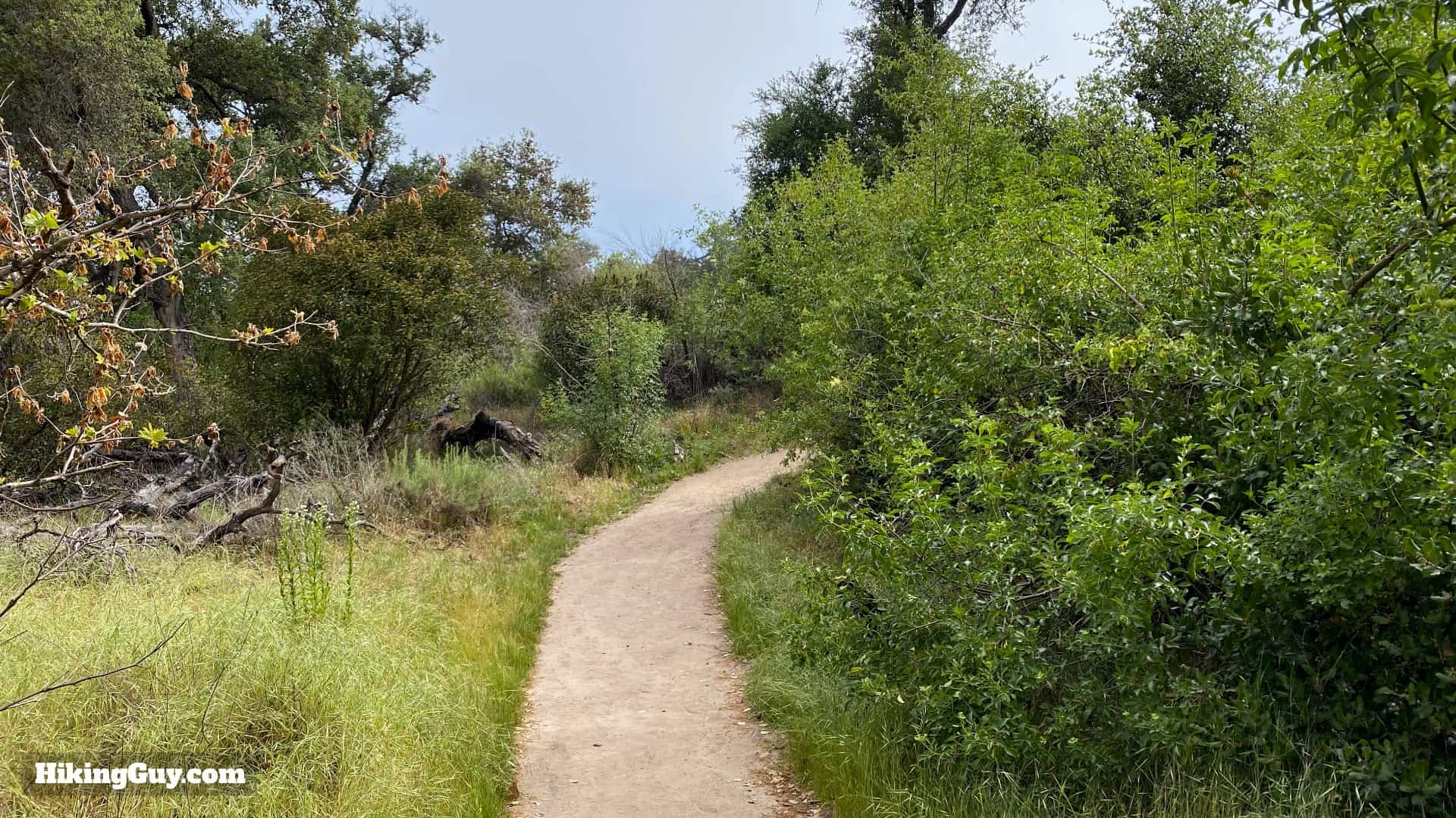 Red Rock Whiting Ranch Hike 19