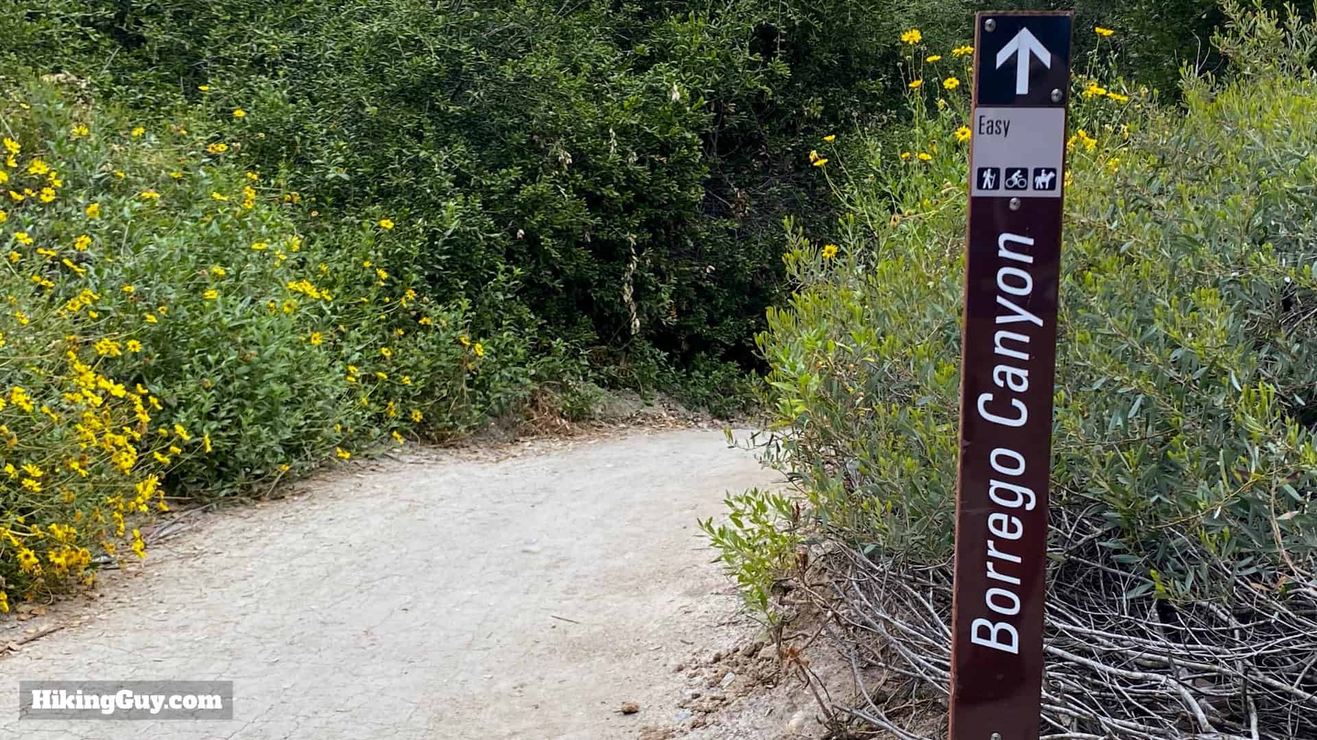 Red Rock Whiting Ranch Hike 8