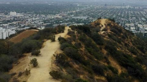 Runyon Canyon Hike Guide