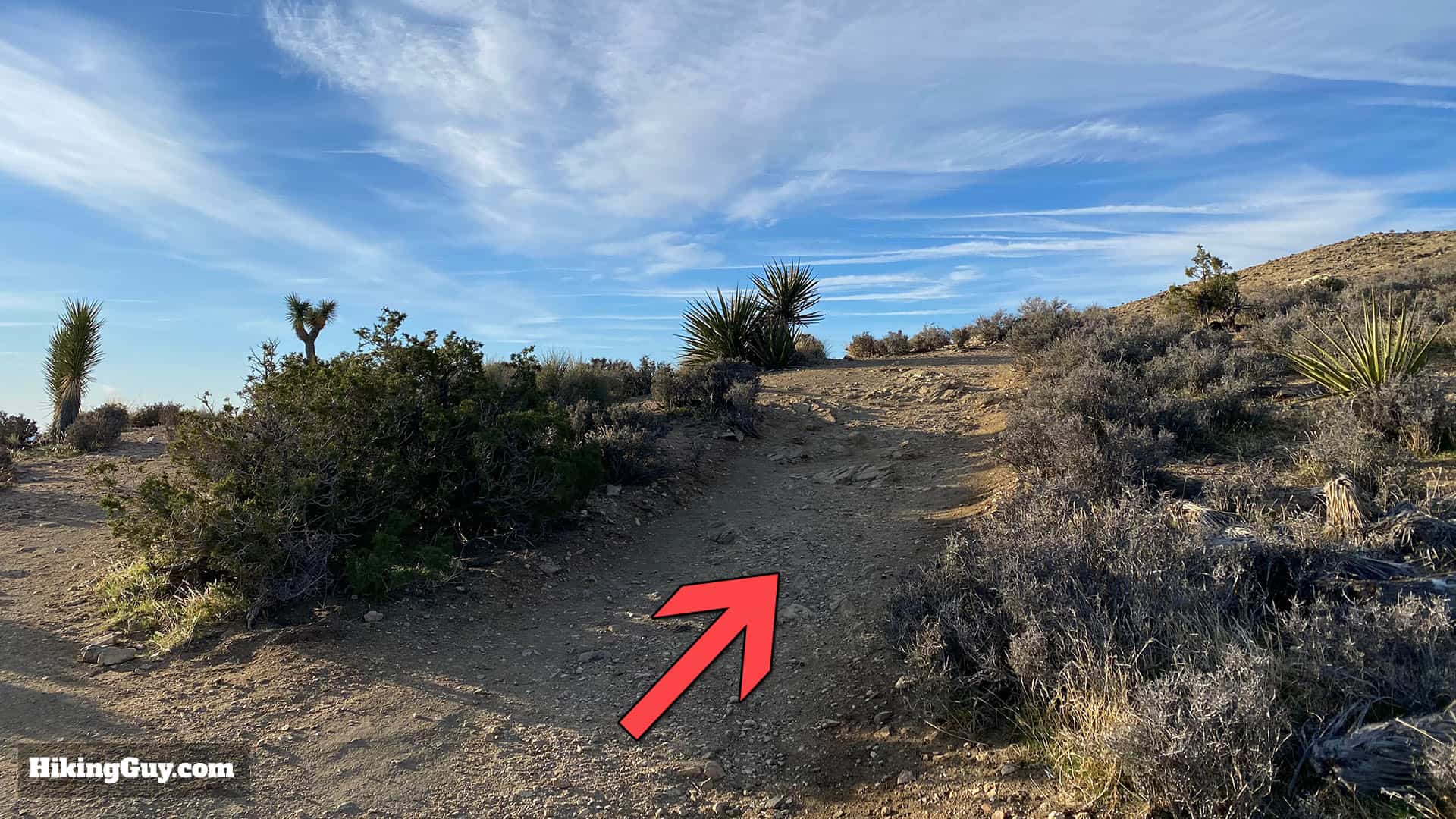 Ryan Mountain Trail Directions 10