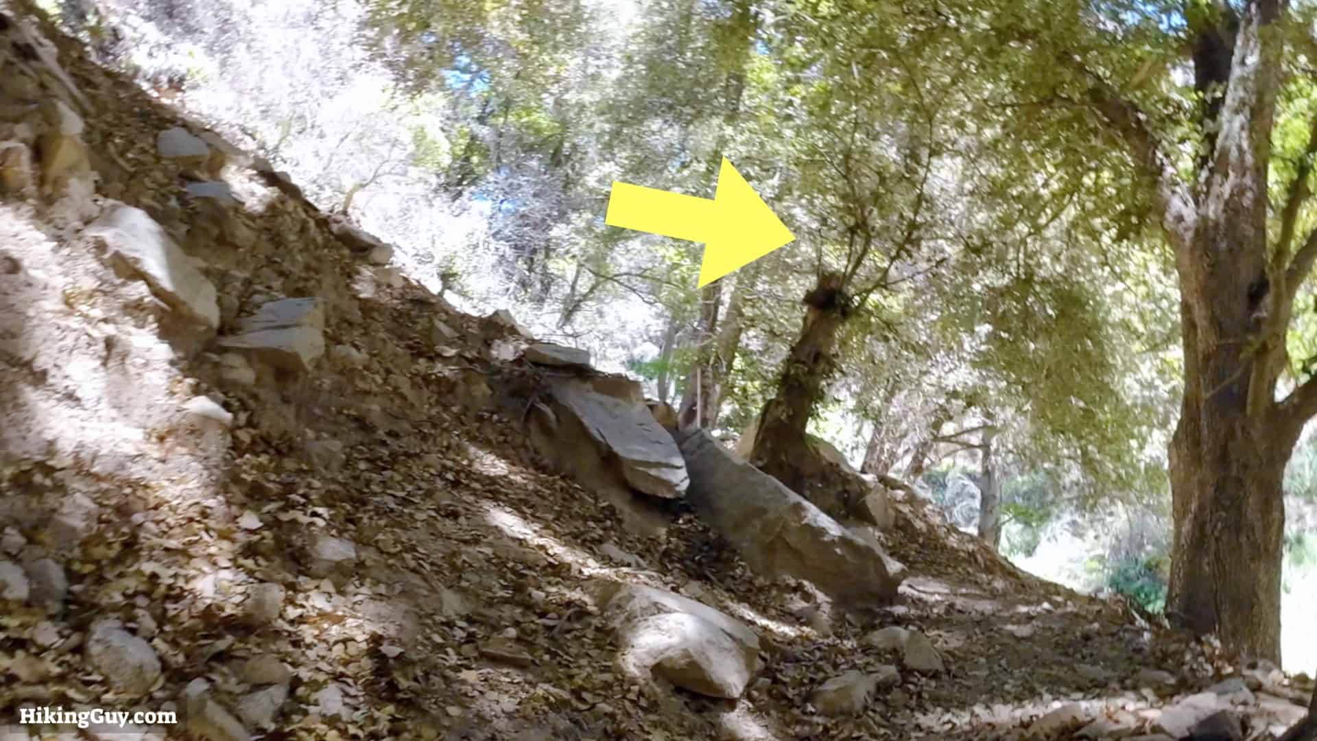 Saddleback Mountain Hike Directions 8