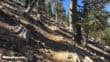 San Bernardino Peak Hike climbs