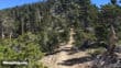 San Bernardino Peak Hike trail