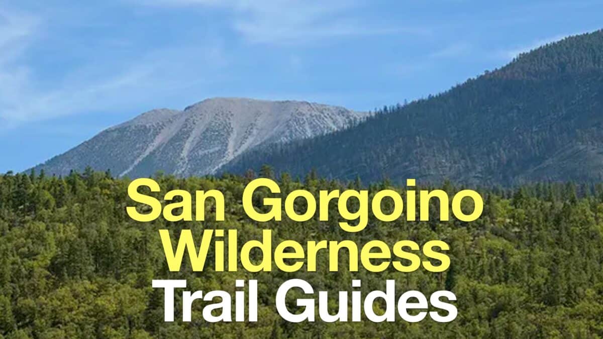 San Gorgonio Wilderness Hikes