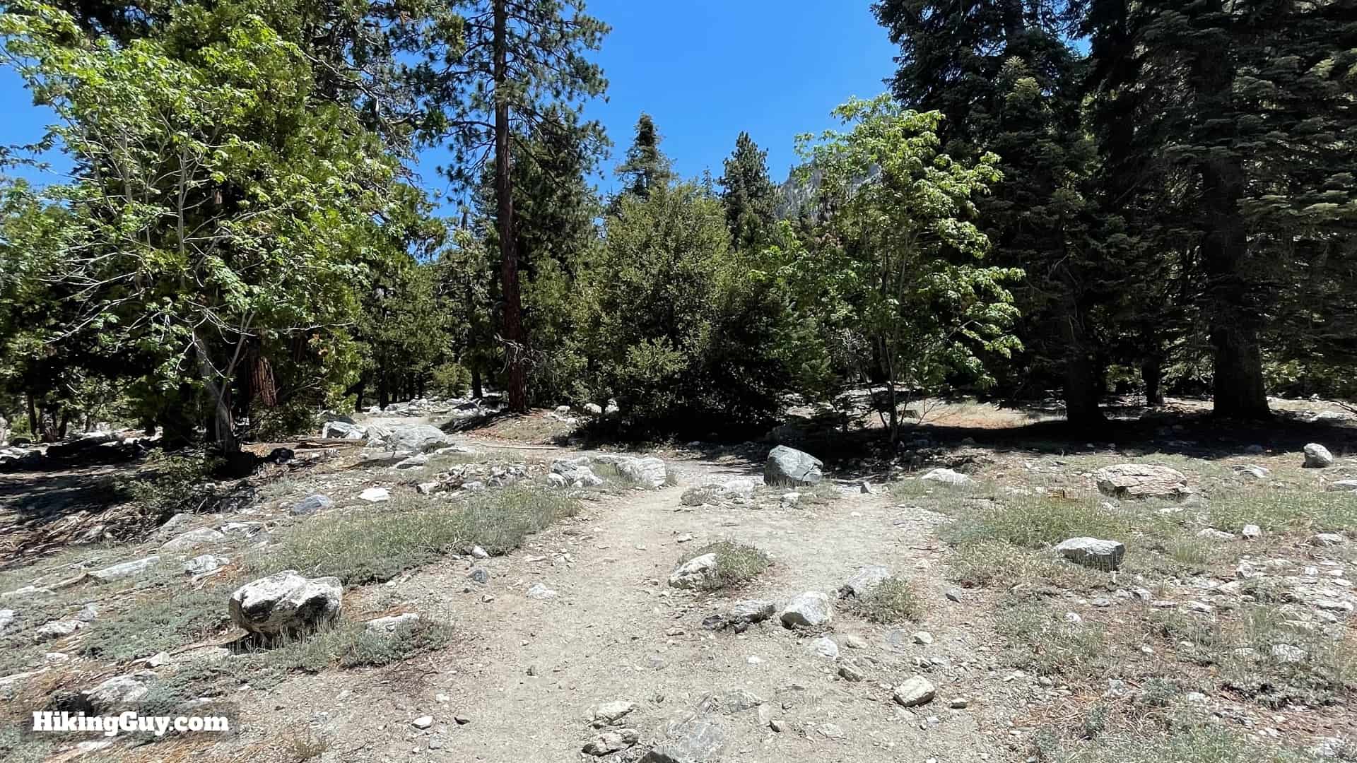San Gorgonio Hike Vivian Creek Directions 11