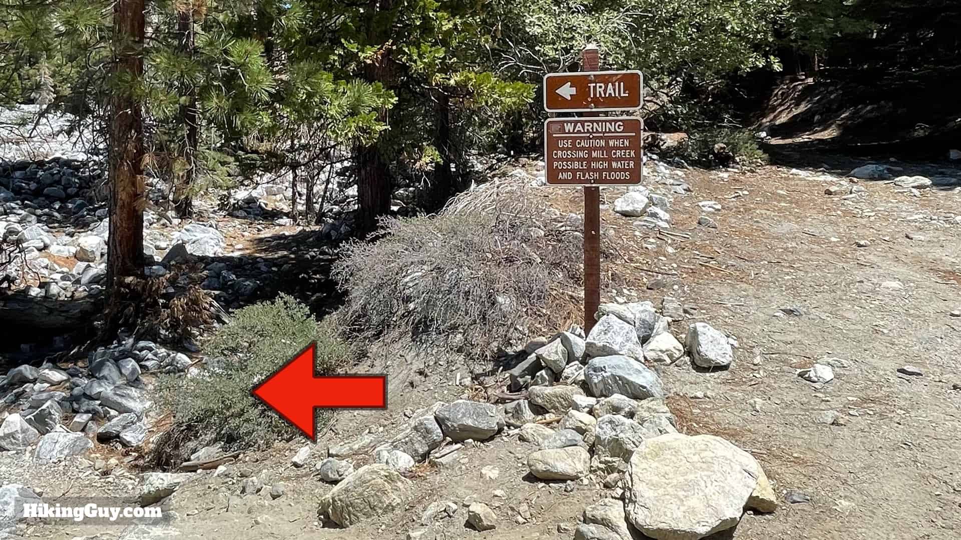 San Gorgonio Hike Vivian Creek Directions 13