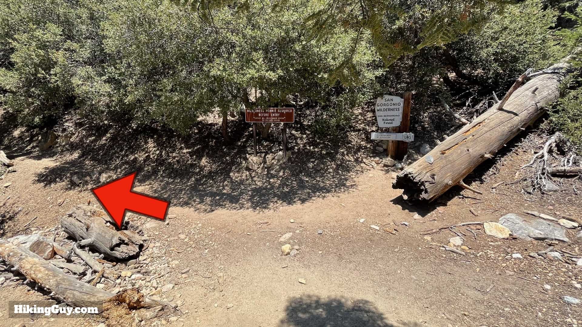 San Gorgonio Hike Vivian Creek Directions 19