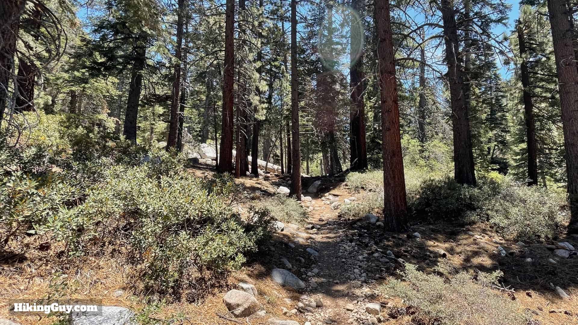 San Gorgonio Hike Vivian Creek Directions 25