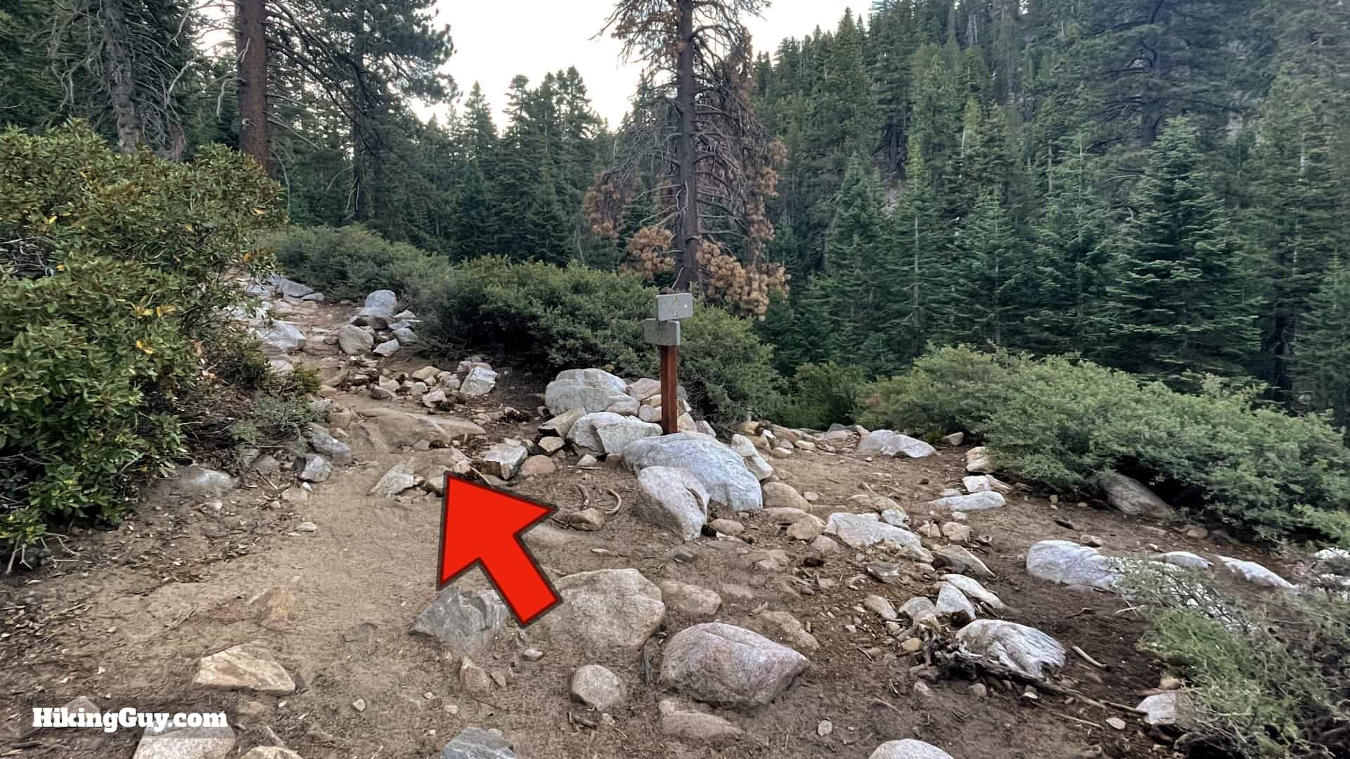 San Gorgonio Hike Vivian Creek Directions 26