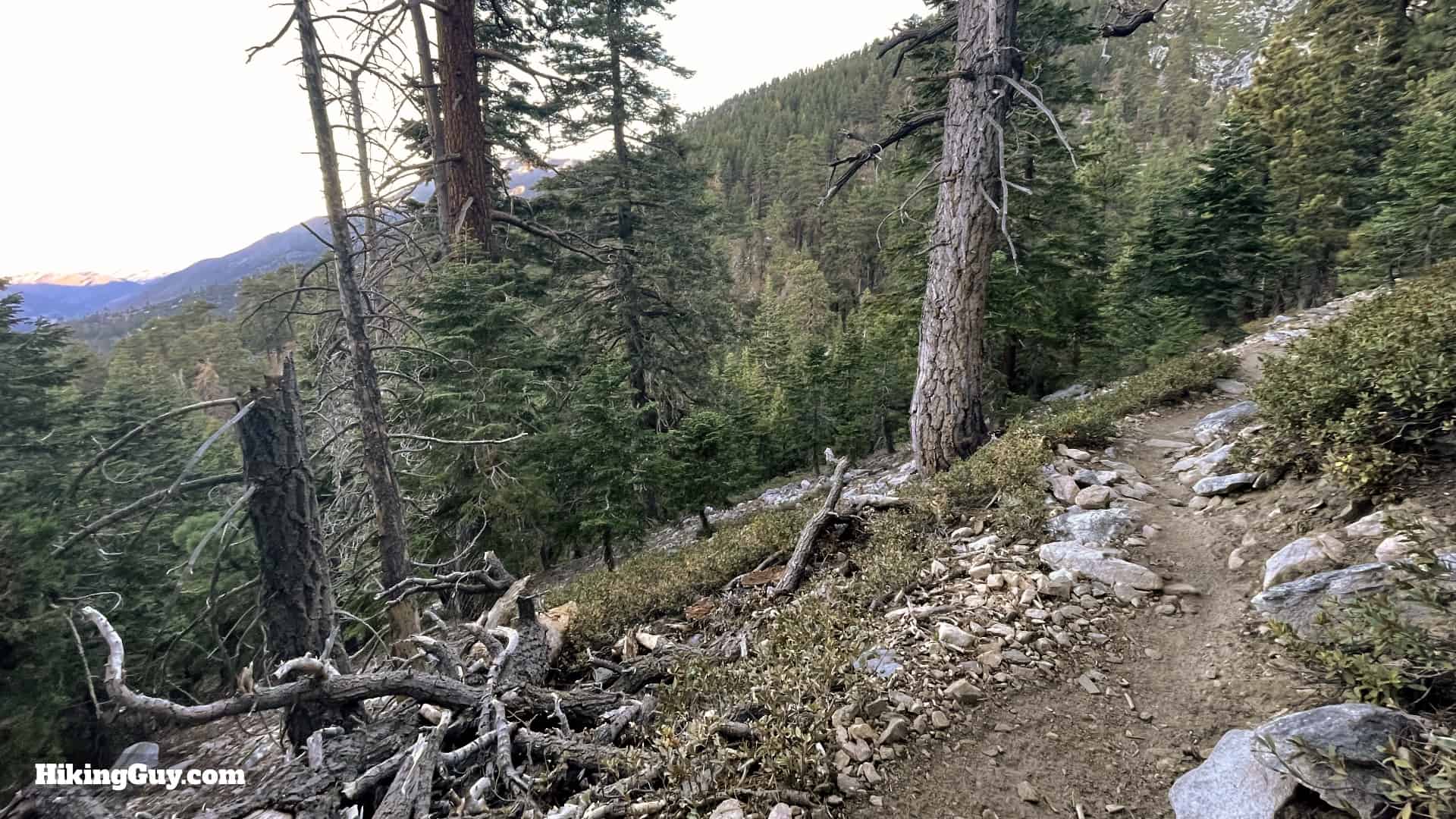 San Gorgonio Hike Vivian Creek Directions 27