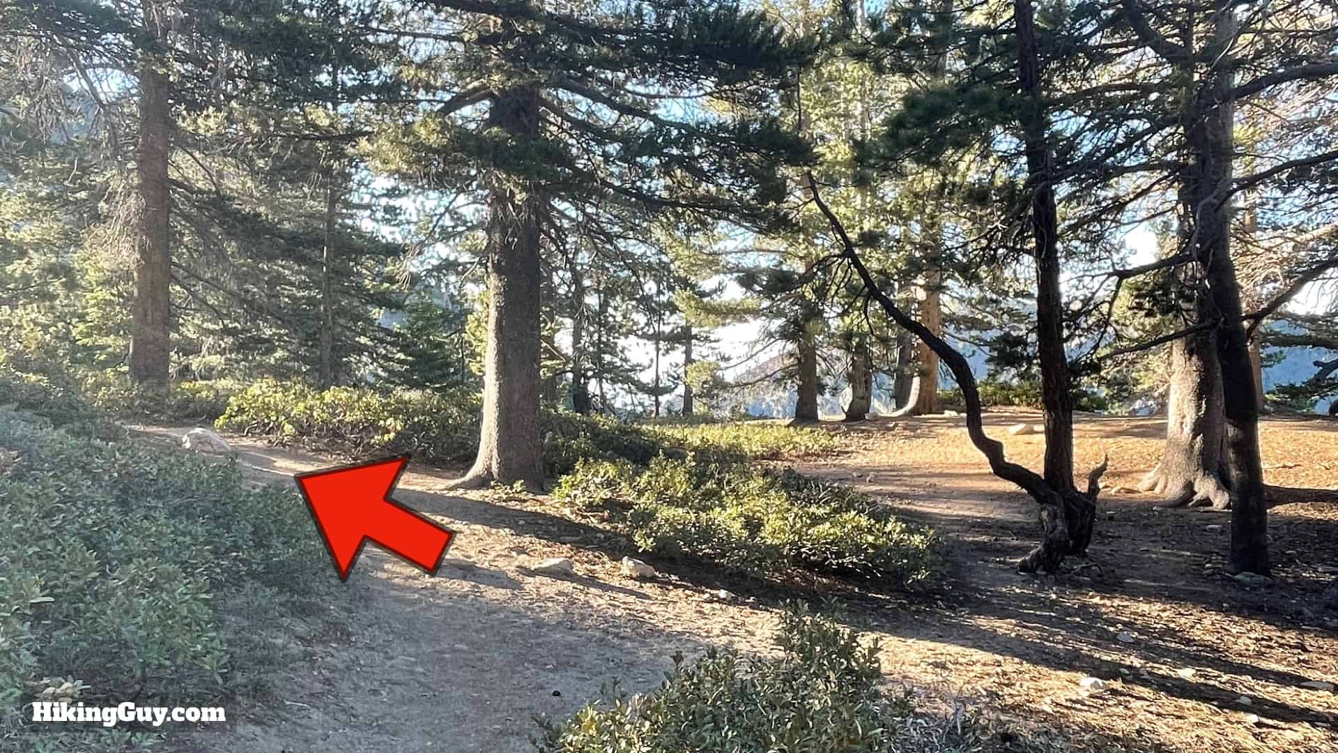 San Gorgonio Hike Vivian Creek Directions 31