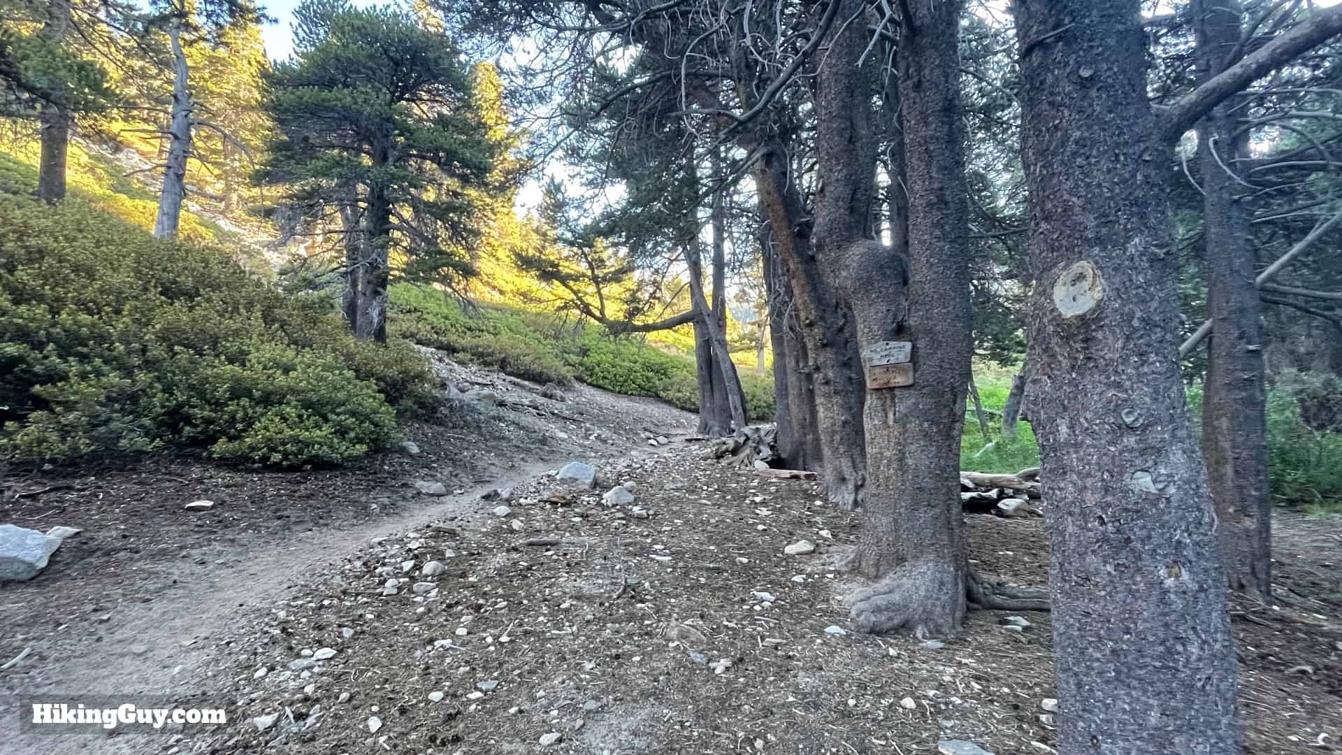 San Gorgonio Hike Vivian Creek Directions 33