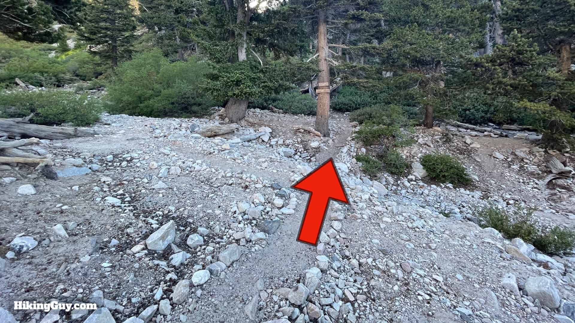 San Gorgonio Hike Vivian Creek Directions 34