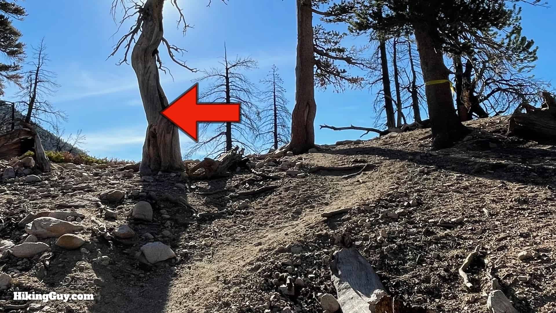 San Gorgonio Hike Vivian Creek Directions 38