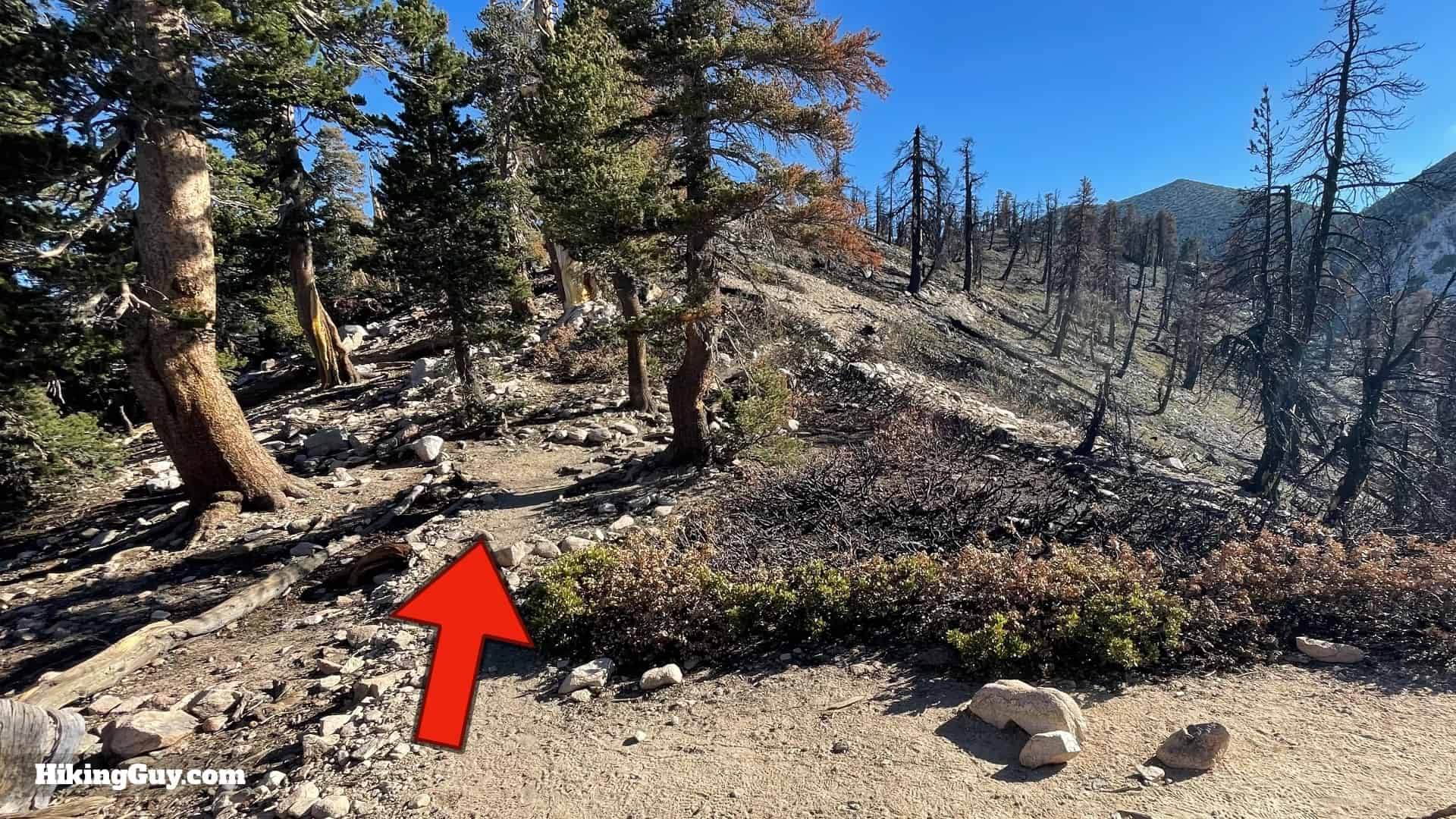 San Gorgonio Hike Vivian Creek Directions 40