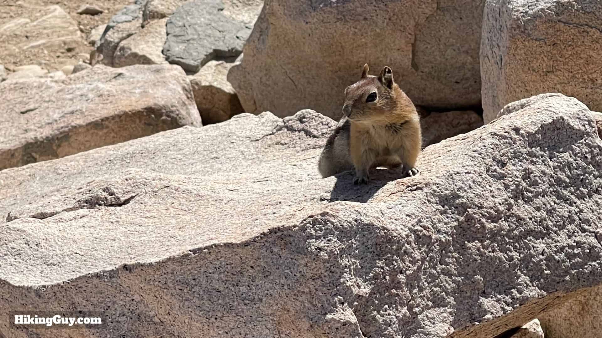 San Gorgonio Hike Vivian Creek Directions 54