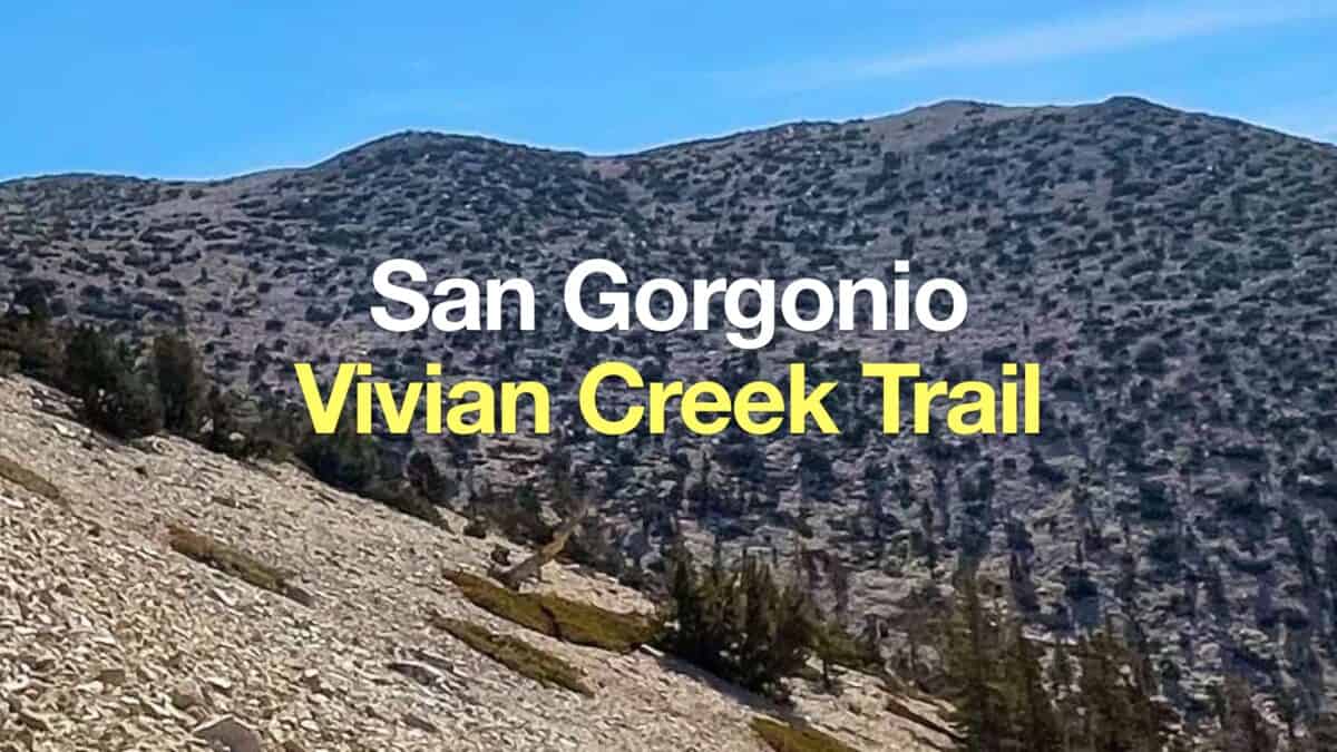 San Gorgonio Hike on the Vivian Creek Trail
