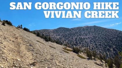 San Gorgonio Hike on the Vivian Creek Trail