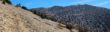 San Gorgonio Hike Vivian Creek Trail