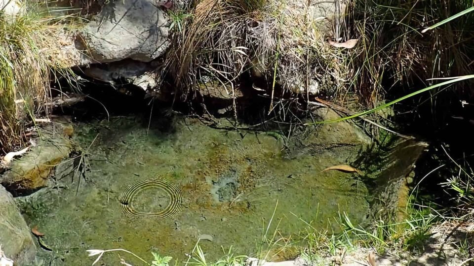 San Juan Hot Springs Featured