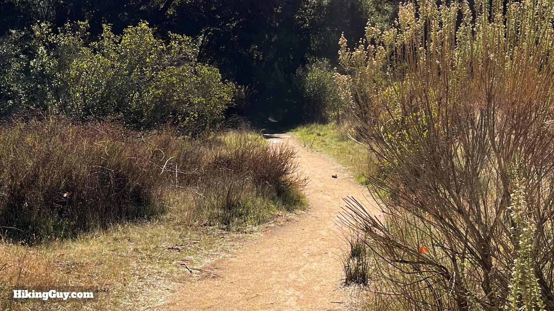 San Juan Loop Trail Directions 20