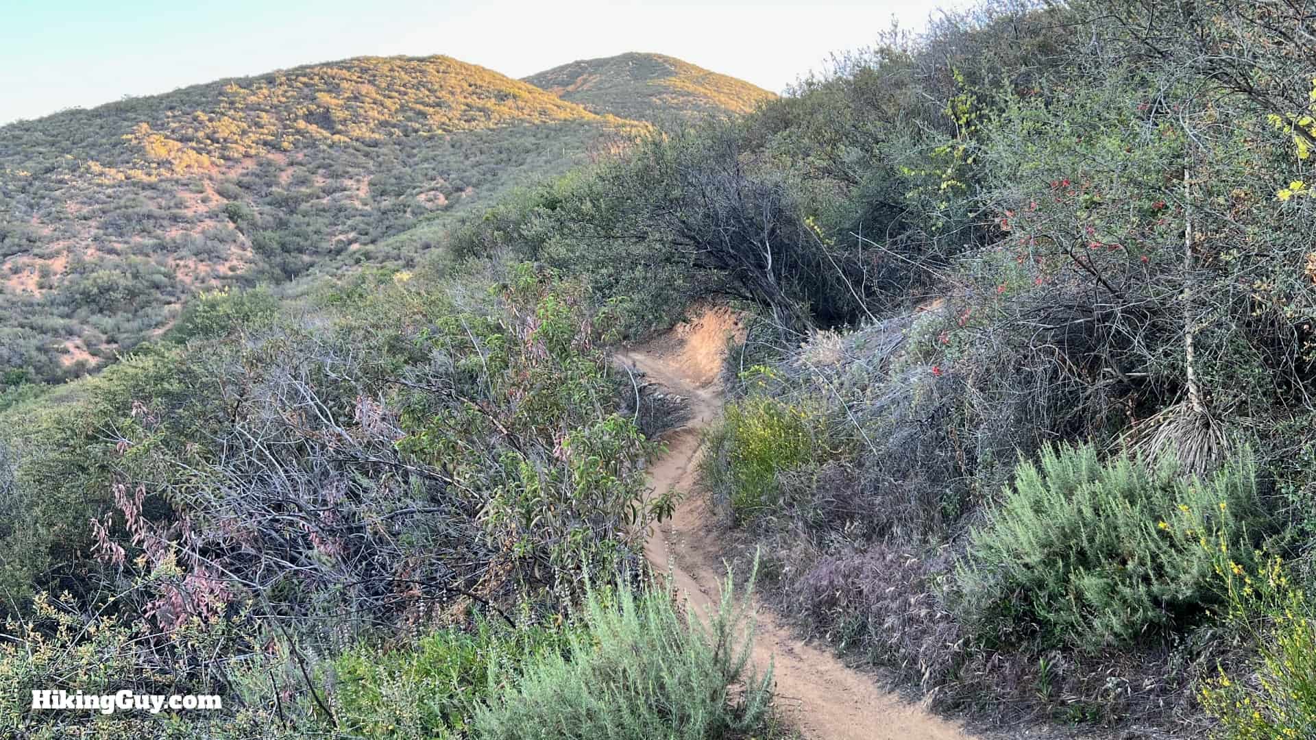 San Juan Trail To Sugarloaf Peaks Directions 12