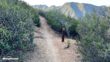 San Juan Trail To Sugarloaf Peaks Directions 14