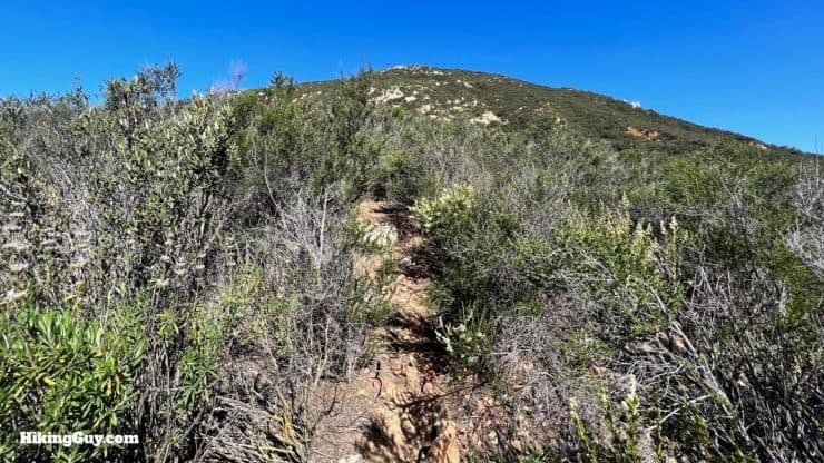 San Juan Trail To Sugarloaf Peaks Directions 22