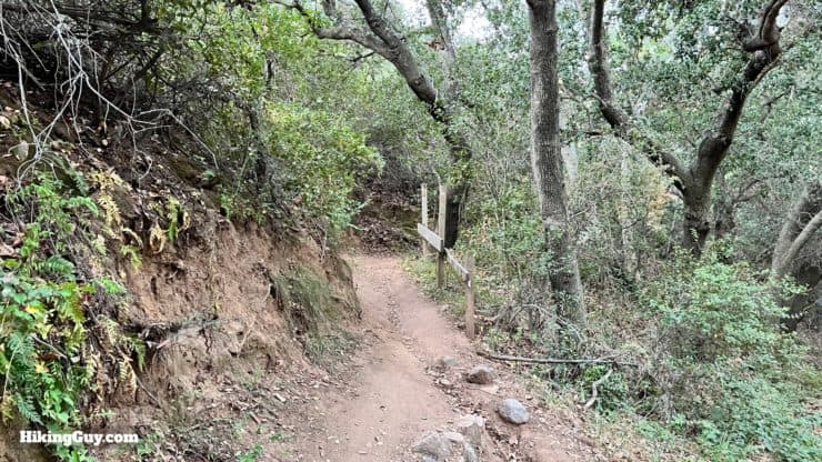 San Juan Trail To Sugarloaf Peaks Directions 9