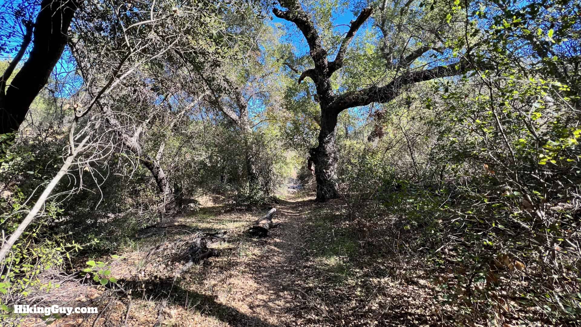 San Mateo Peak Hike Directions 10